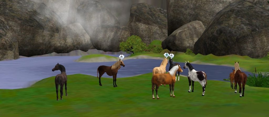 Falconvale (retired 8/2012)