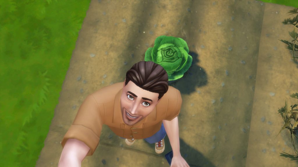 Misery2Mansions (Test One – Retired)